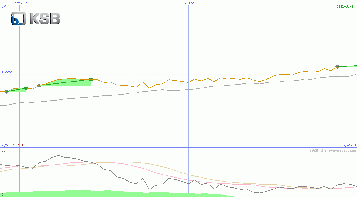 KSB SE & Co. KGaA