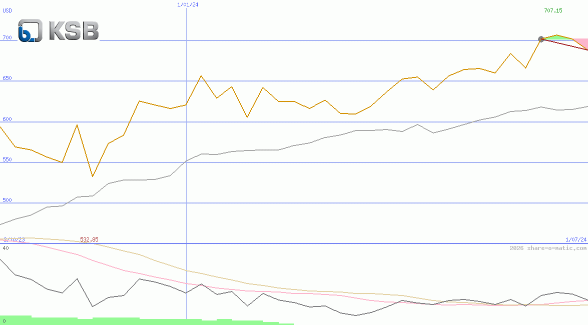 KSB SE & Co. KGaA