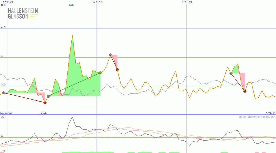 Hallenstein Glasson Holdings Ltd