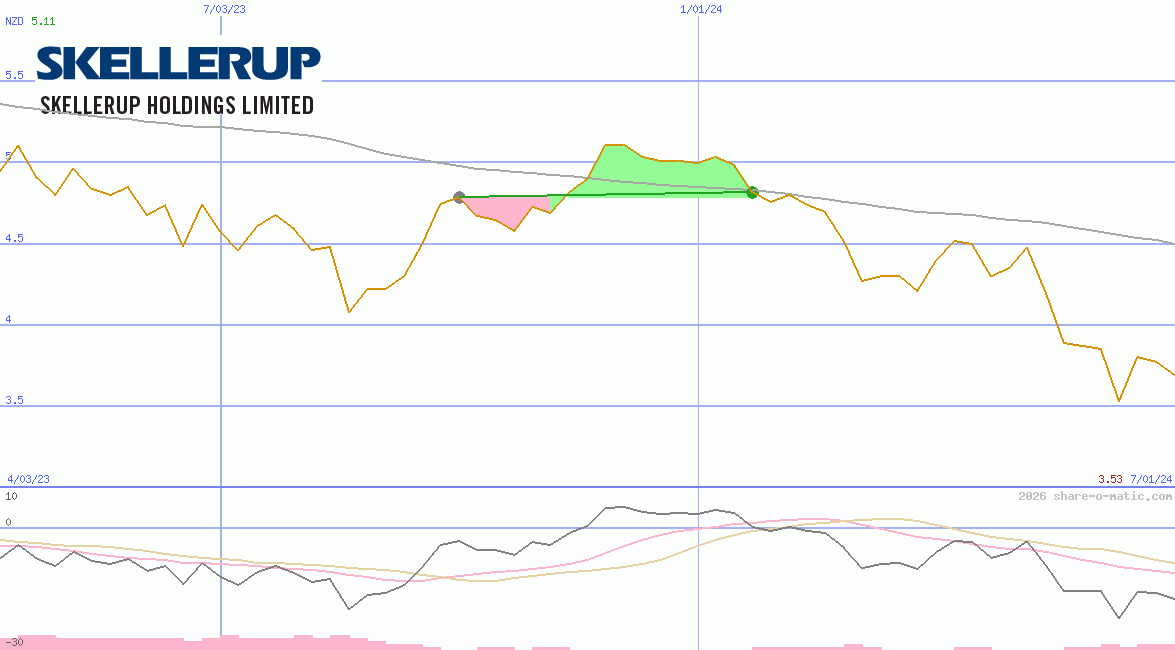 Skellerup Holding Ltd
