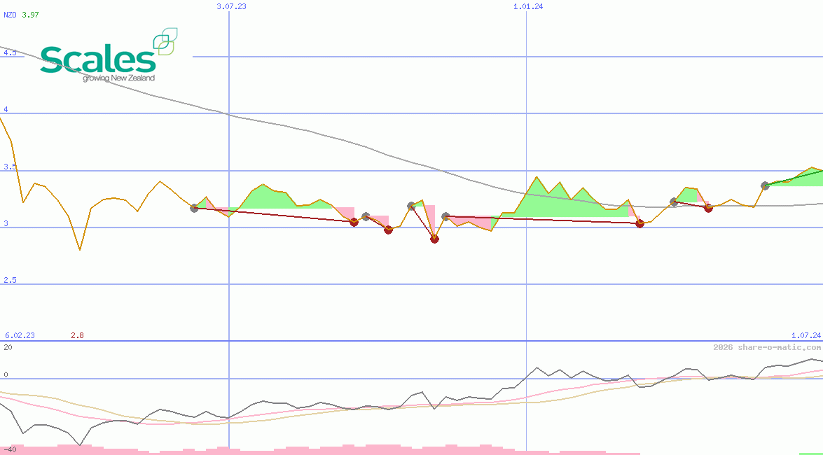 Scales Corporation Ltd