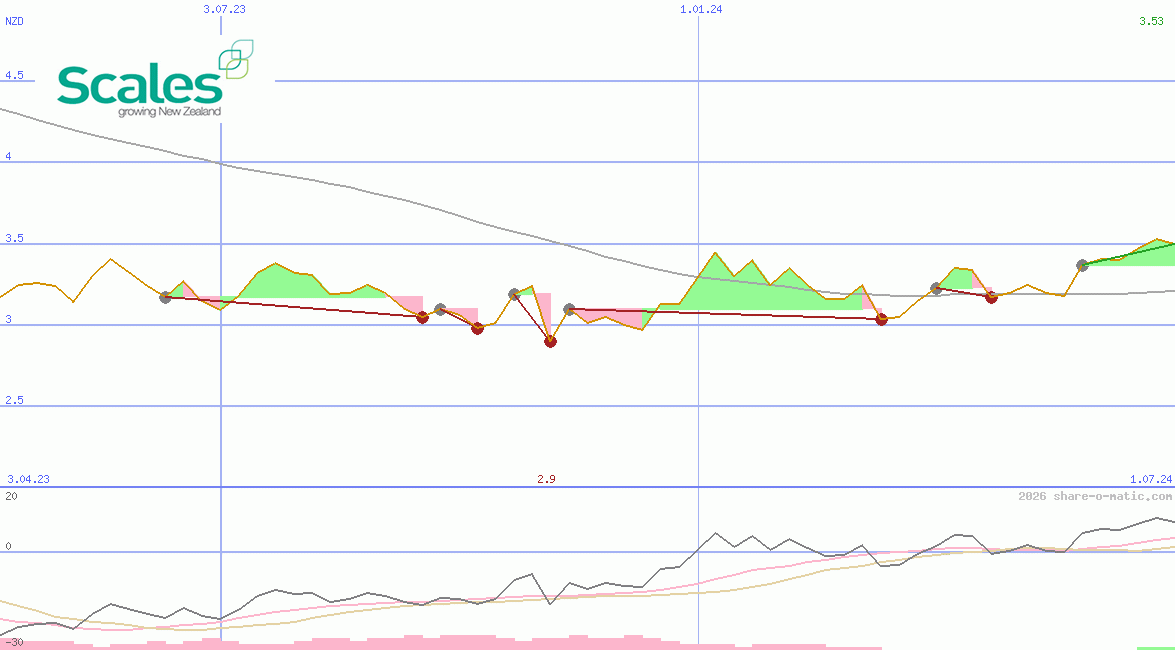 Scales Corporation Ltd