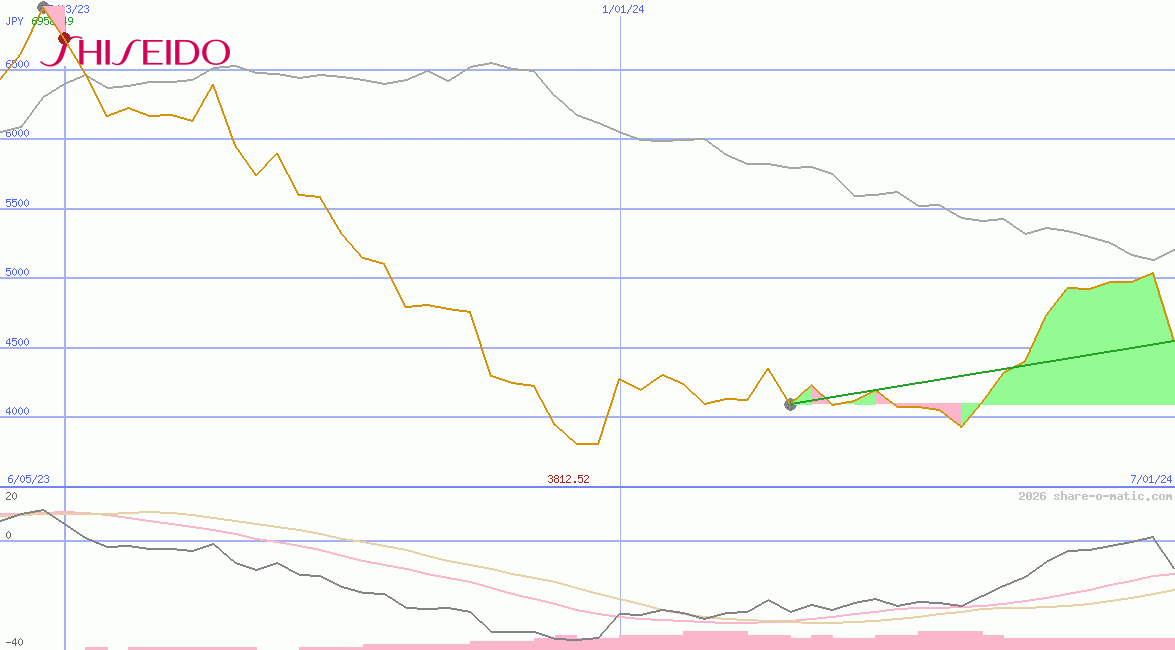 Shiseido Co Ltd