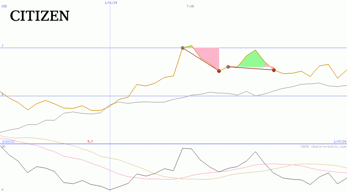 Citizen Holdings Co Ltd