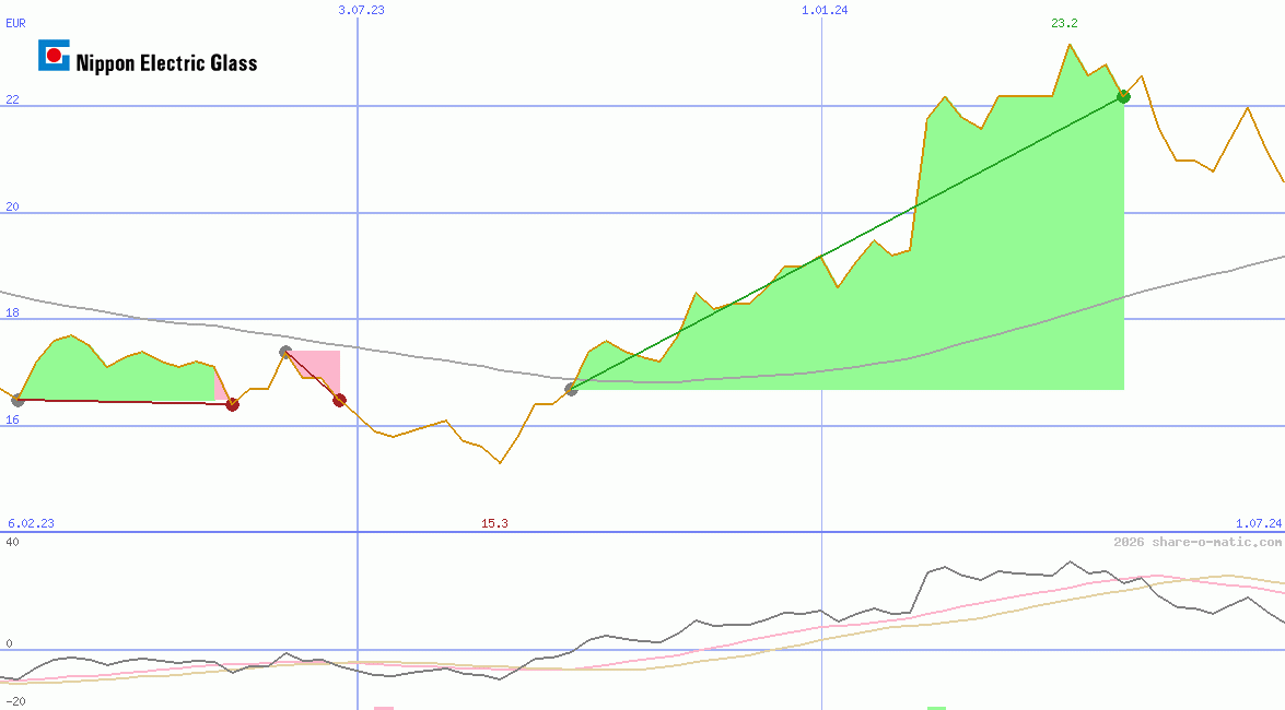 Nippon Electric Glass Co Ltd