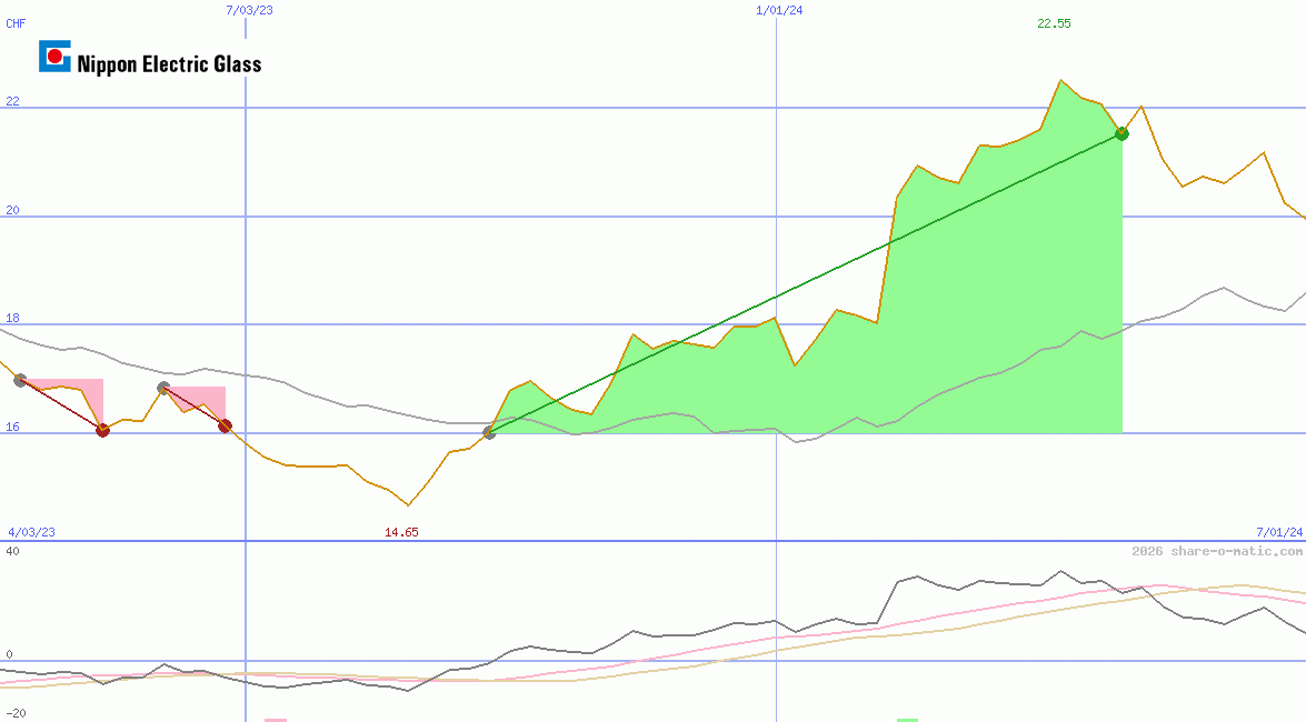 Nippon Electric Glass Co Ltd