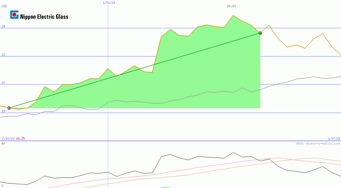 Nippon Electric Glass Co Ltd