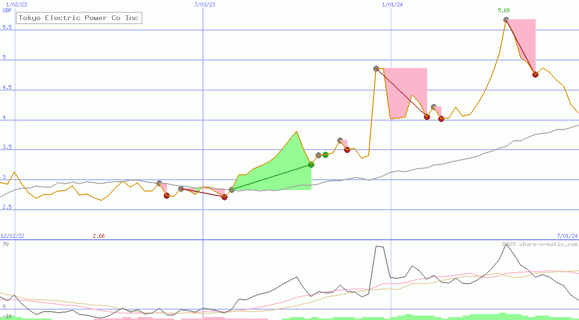 Tokyo Electric Power Co Inc