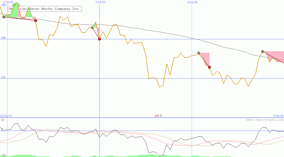 American Water Works Company Inc