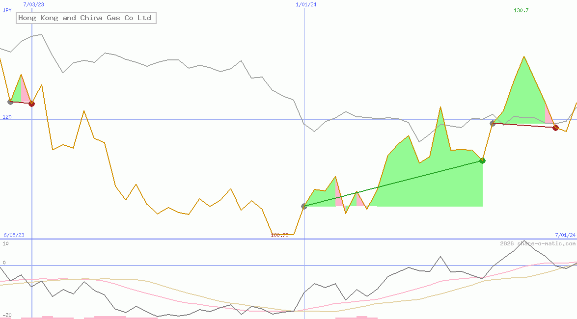 Hong Kong and China Gas Co Ltd