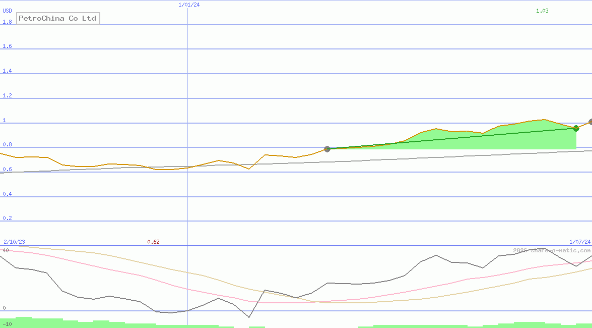 PetroChina Co Ltd