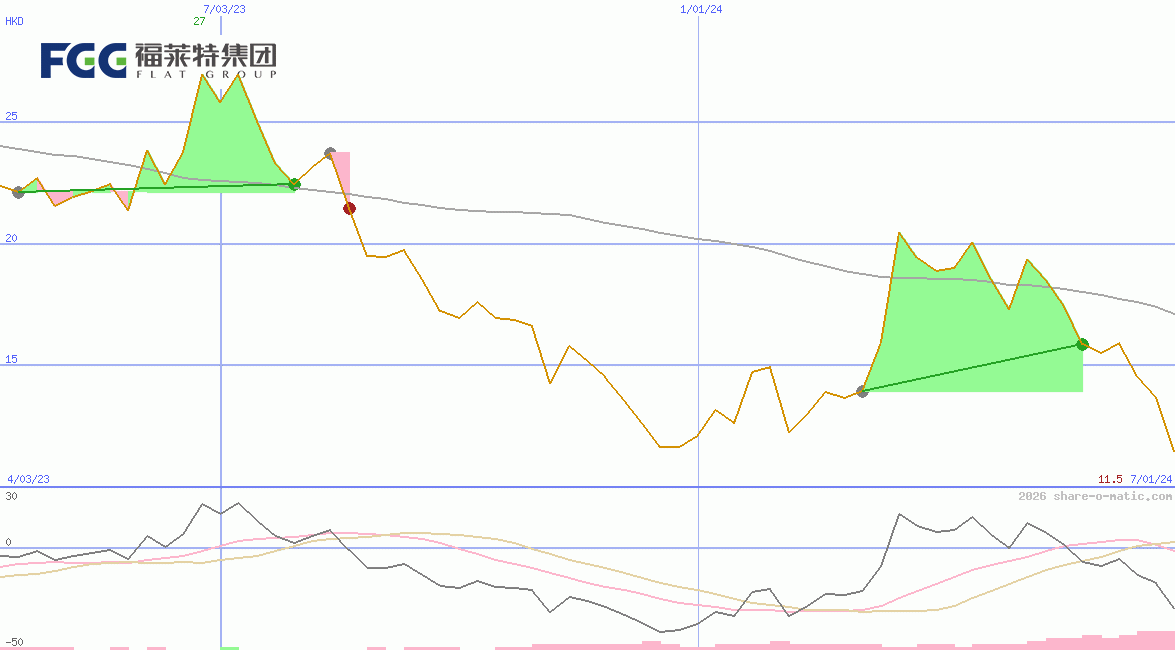 Flat Glass Group Co Ltd