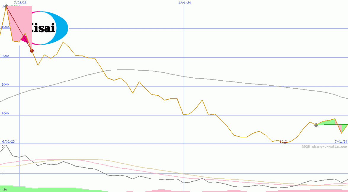 Eisai Co Ltd