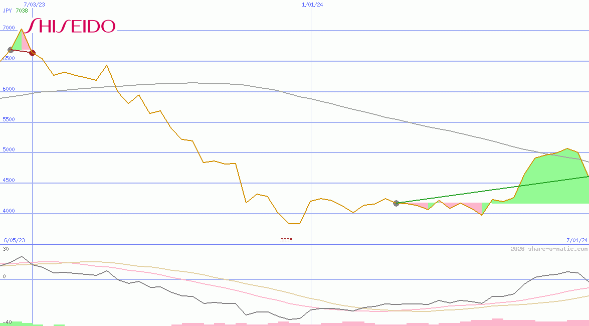 Shiseido Co Ltd