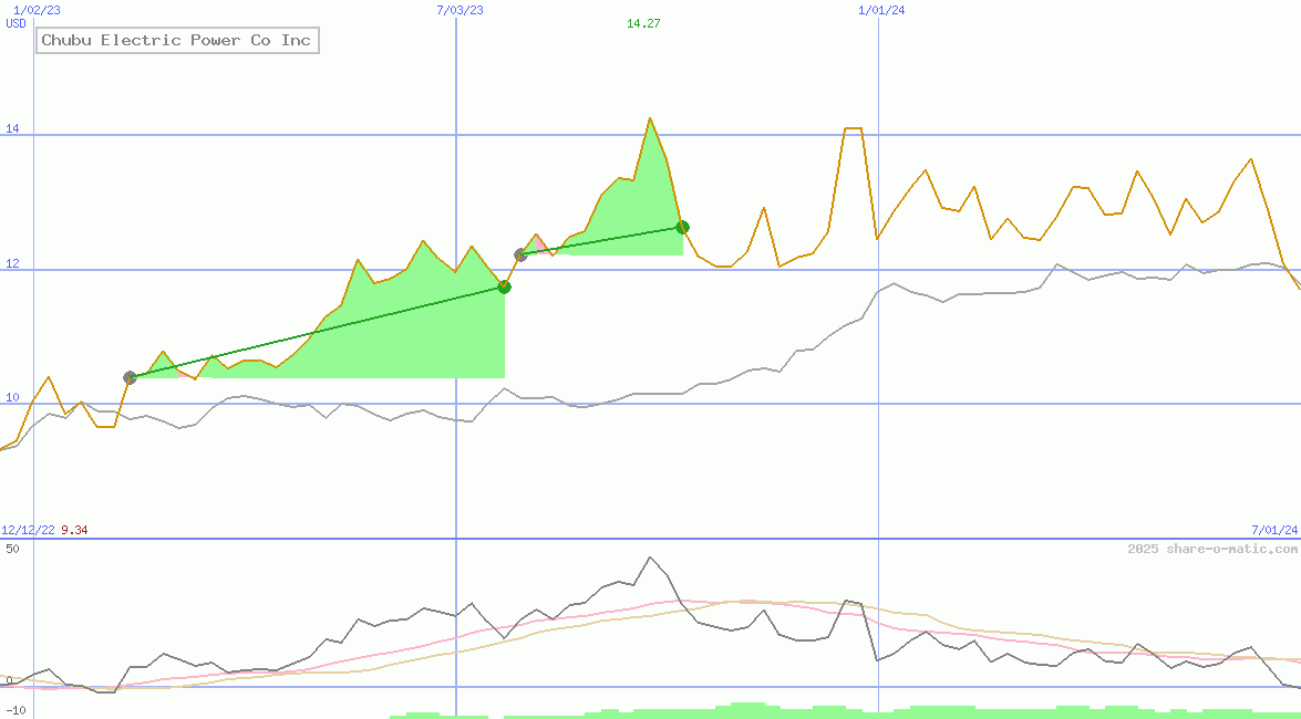 Chubu Electric Power Co Inc