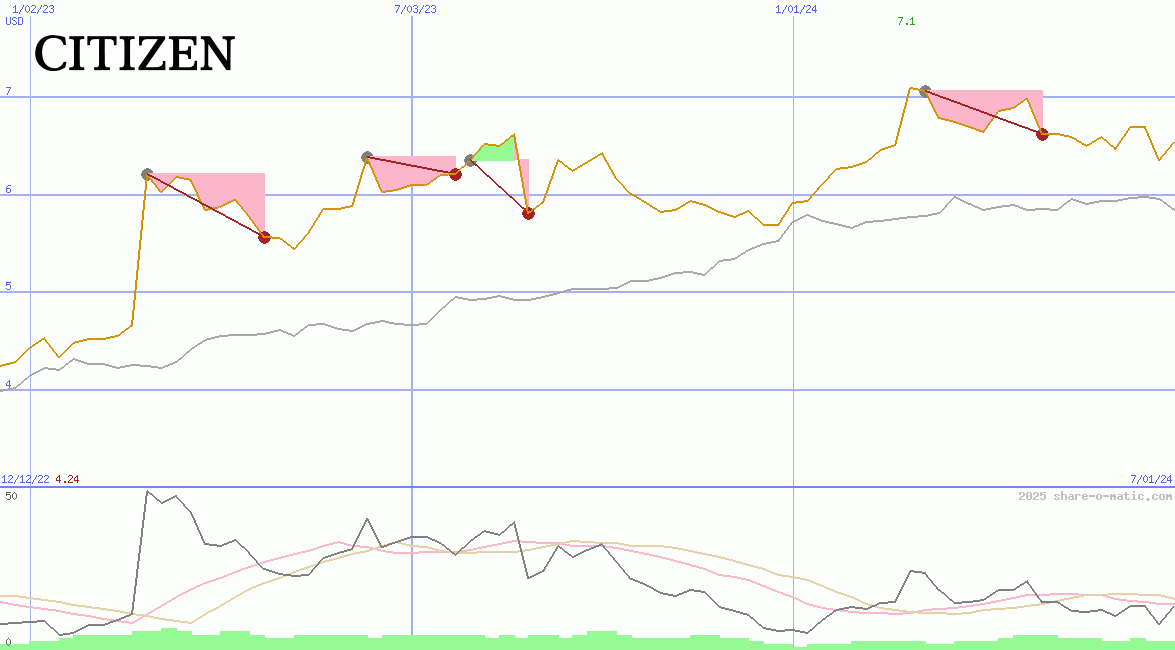 Citizen Holdings Co Ltd