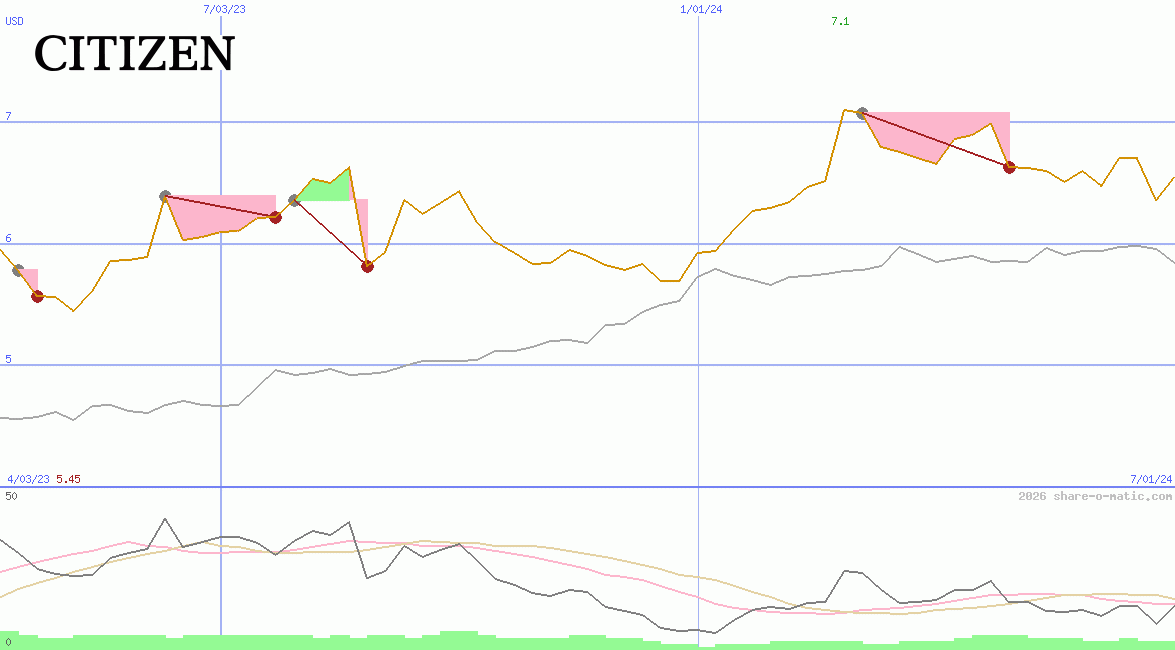 Citizen Holdings Co Ltd