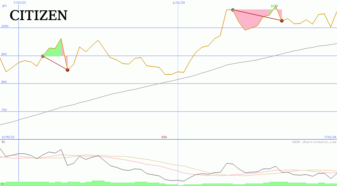 Citizen Holdings Co Ltd