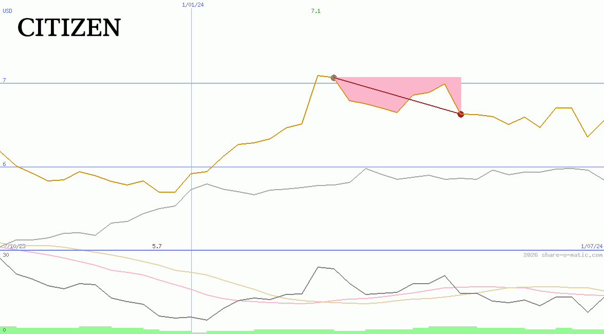 Citizen Holdings Co Ltd