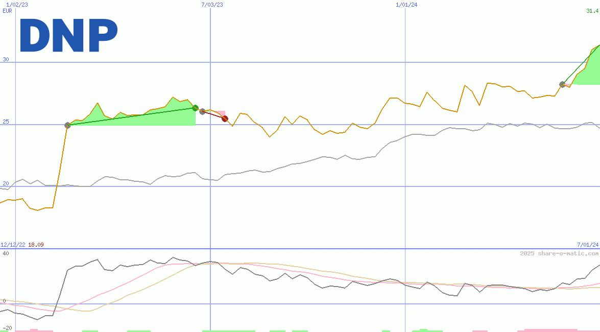Dai Nippon Printing Co Ltd