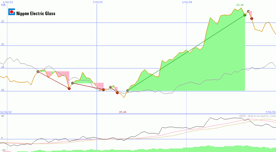 Nippon Electric Glass Co Ltd
