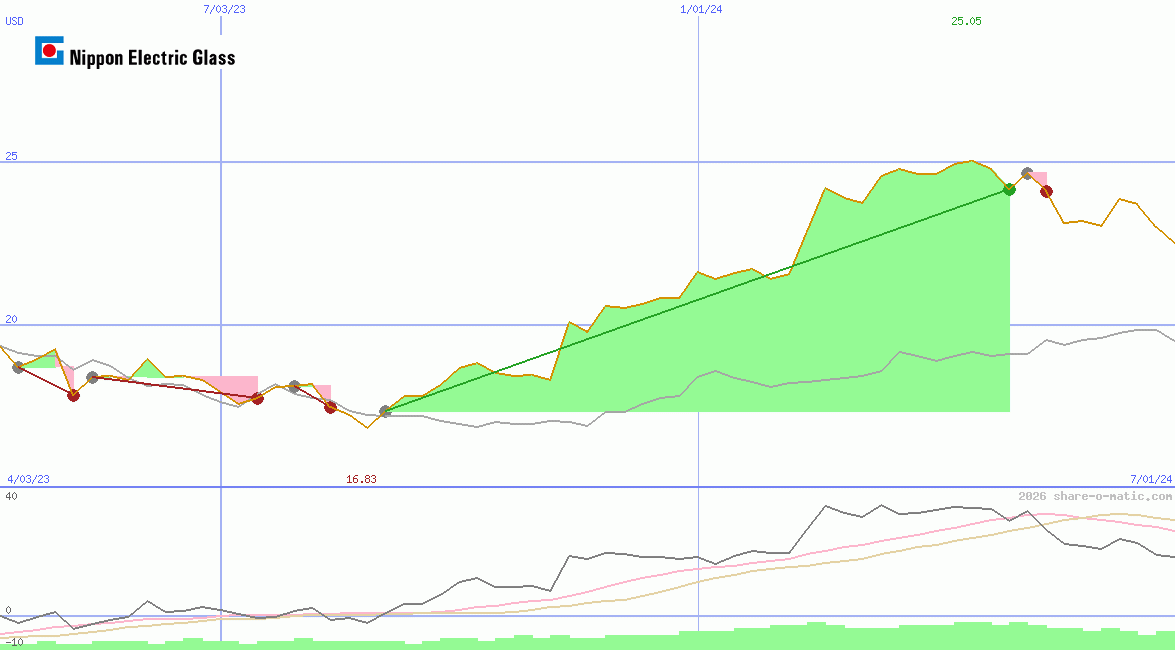 Nippon Electric Glass Co Ltd