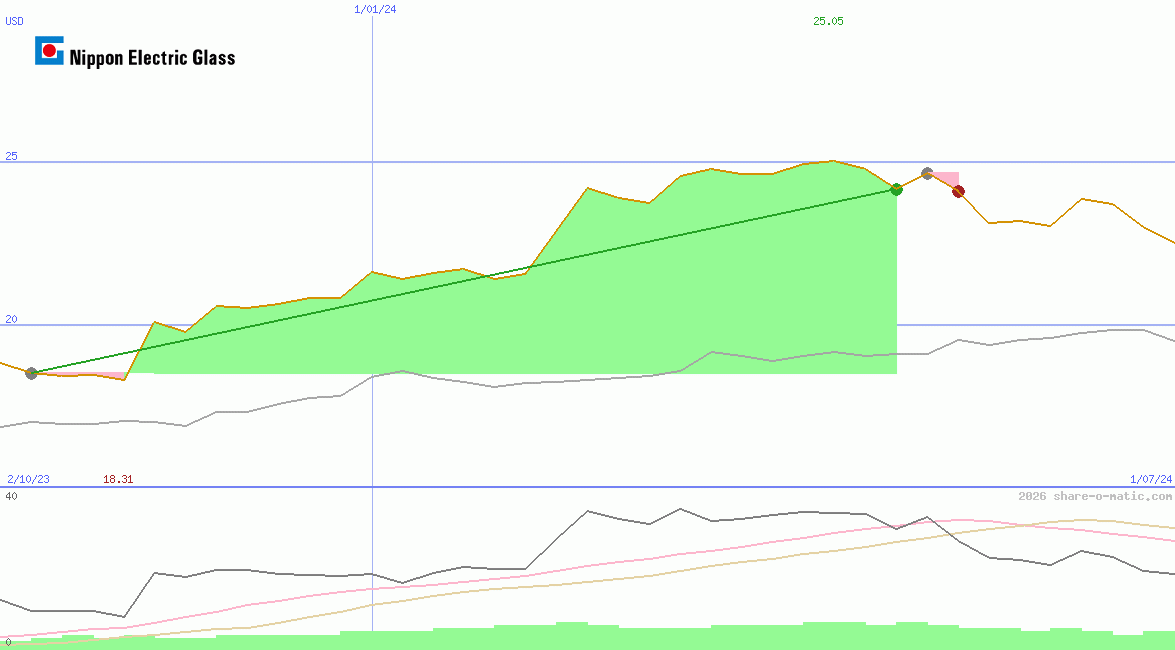 Nippon Electric Glass Co Ltd