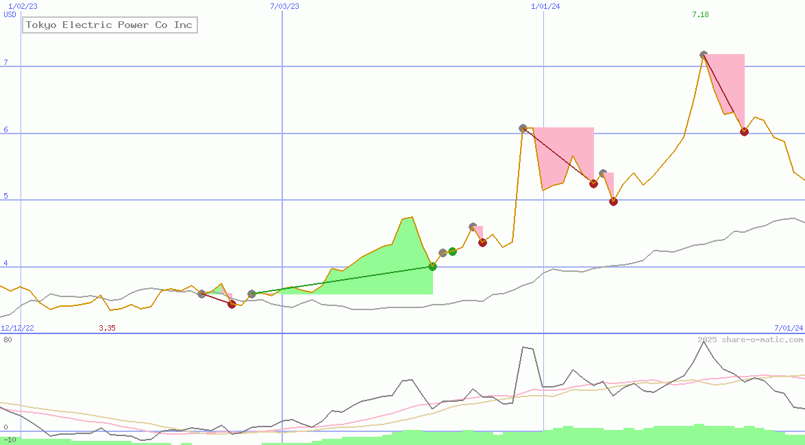 Tokyo Electric Power Co Inc