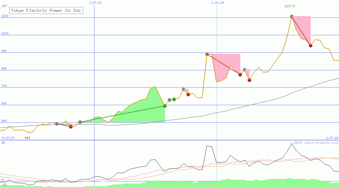 Tokyo Electric Power Co Inc