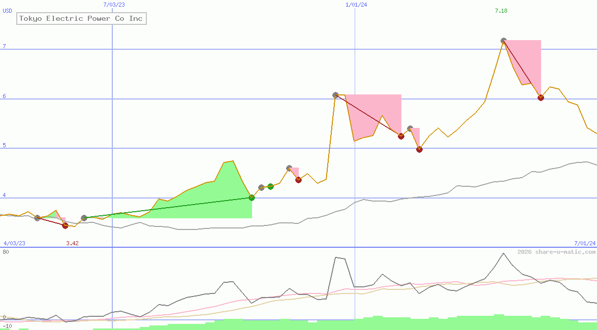 Tokyo Electric Power Co Inc