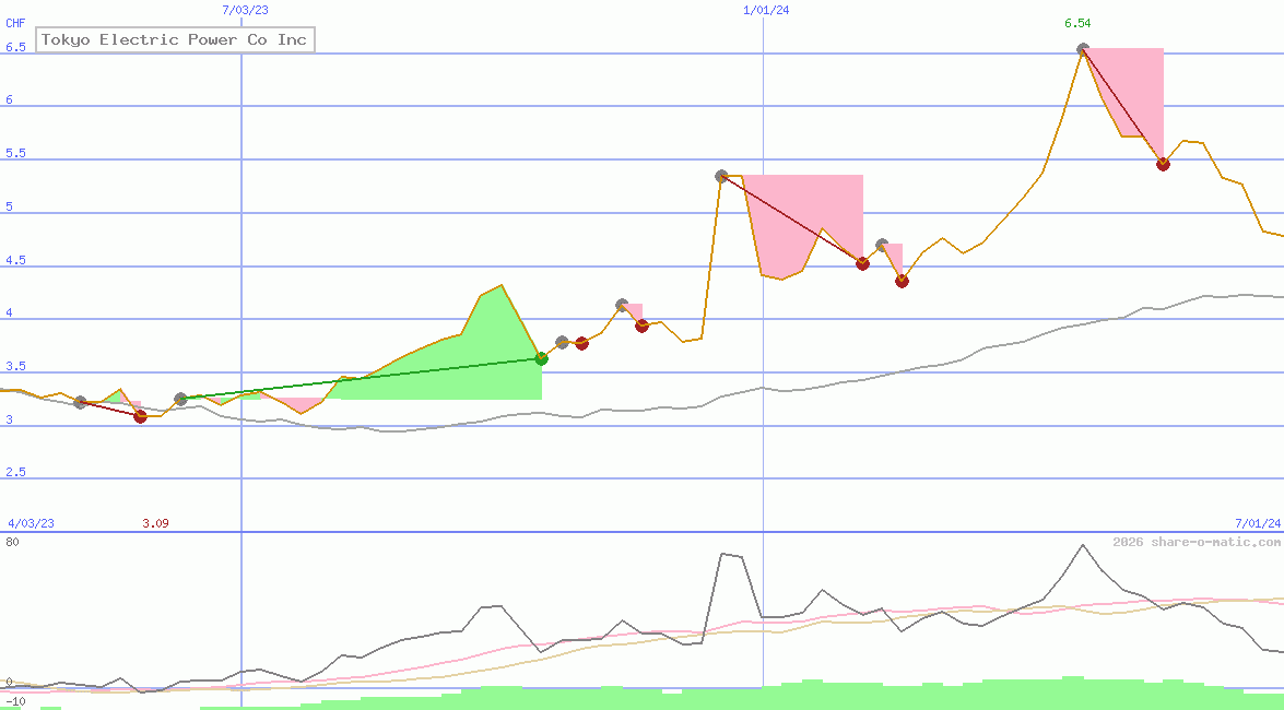 Tokyo Electric Power Co Inc