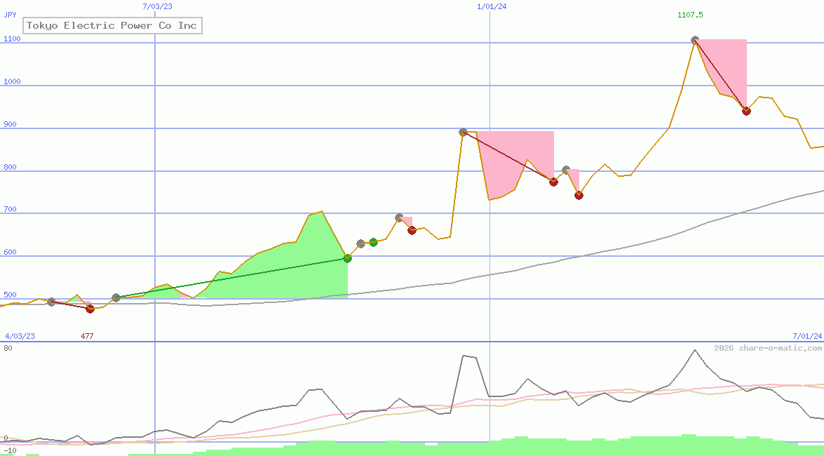 Tokyo Electric Power Co Inc