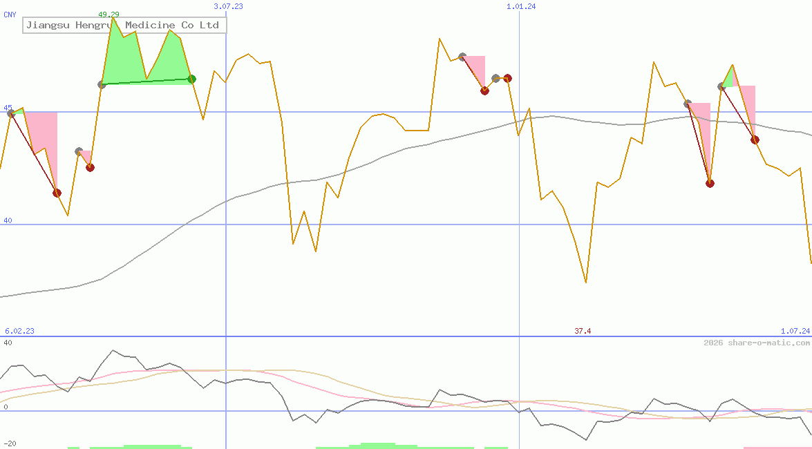 Jiangsu Hengrui Medicine Co Ltd