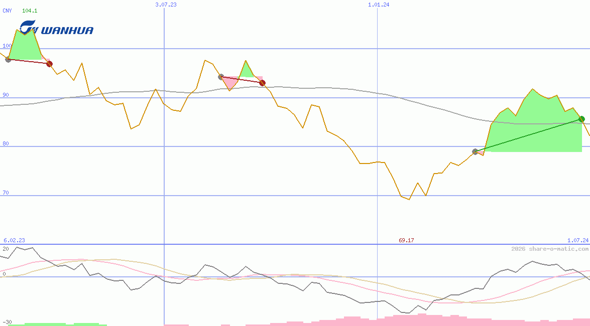 Wanhua Chemical Group Co Ltd
