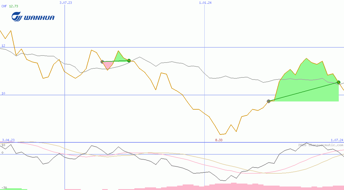 Wanhua Chemical Group Co Ltd