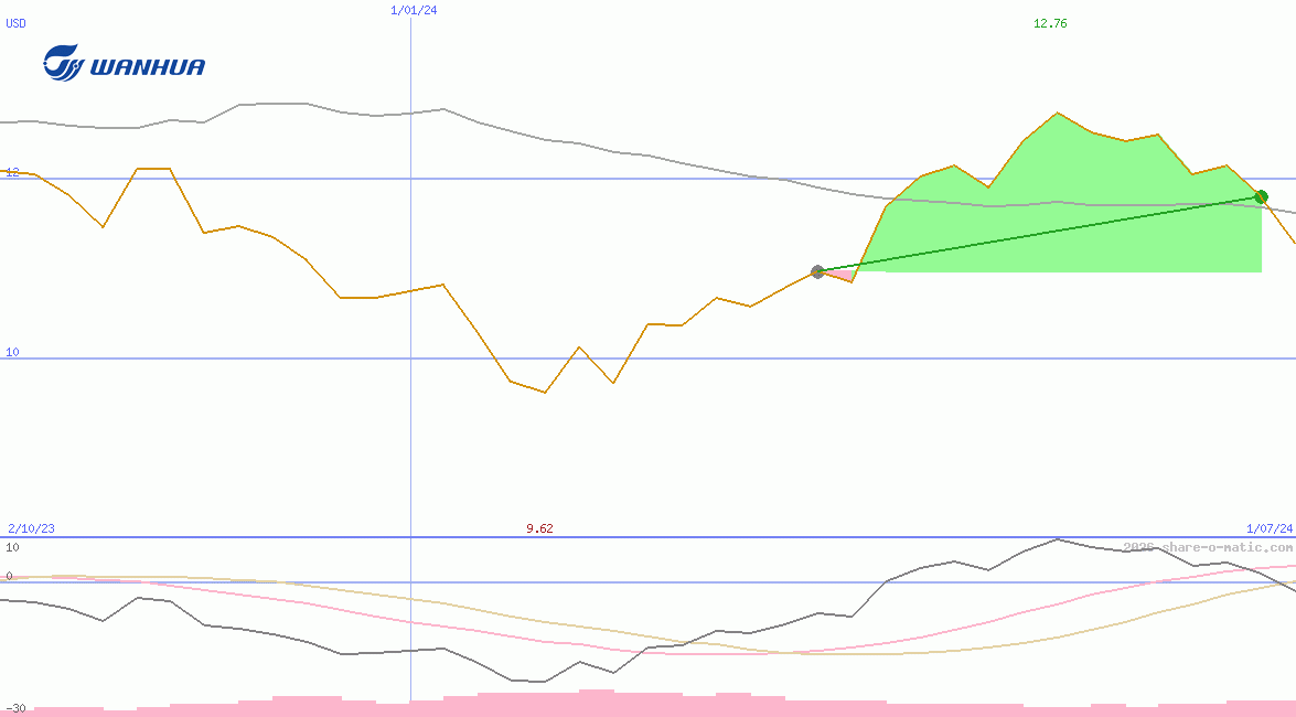 Wanhua Chemical Group Co Ltd