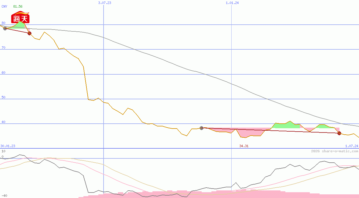 Foshan Haitian Flavouring and Food Co Ltd