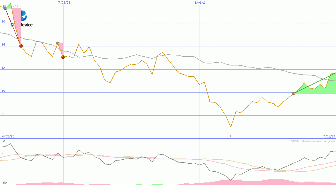 GigaDevice Semiconductor Inc