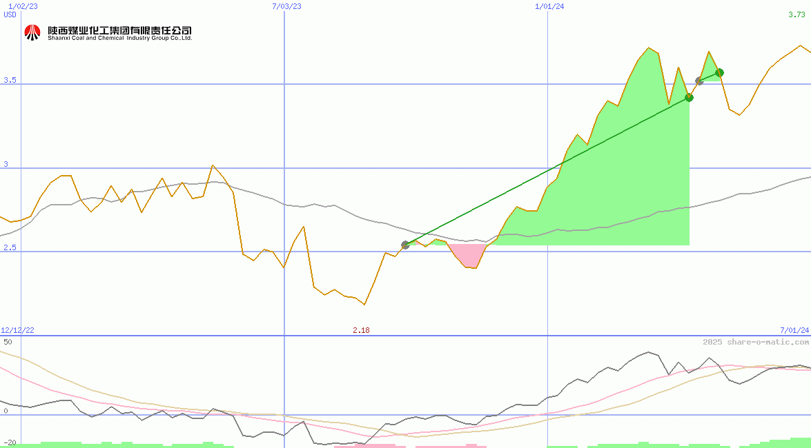 Shaanxi Coal Industry Co Ltd