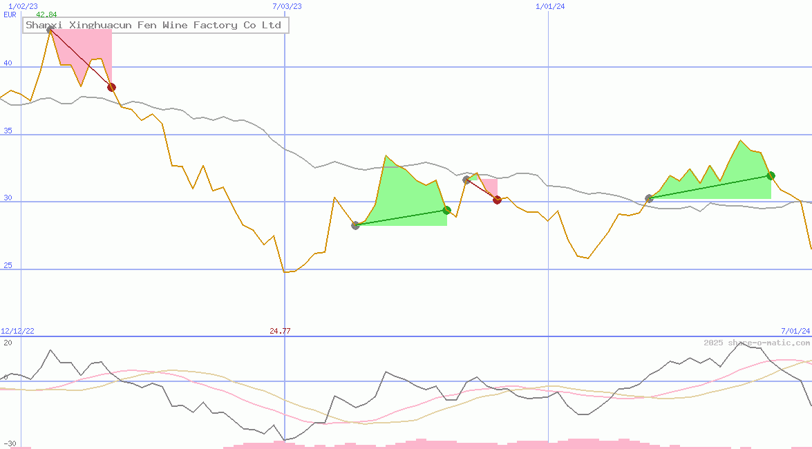 Shanxi Xinghuacun Fen Wine Factory Co Ltd