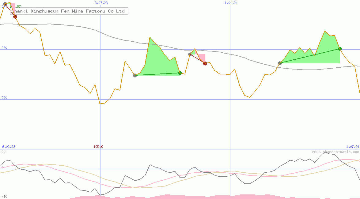 Shanxi Xinghuacun Fen Wine Factory Co Ltd