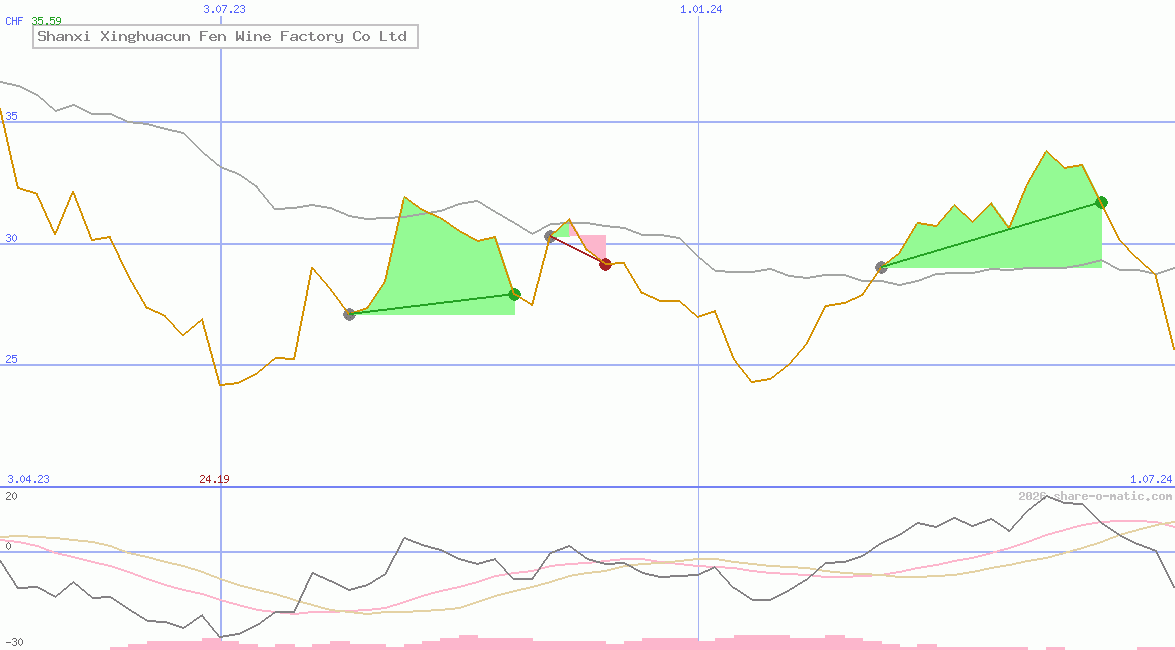 Shanxi Xinghuacun Fen Wine Factory Co Ltd