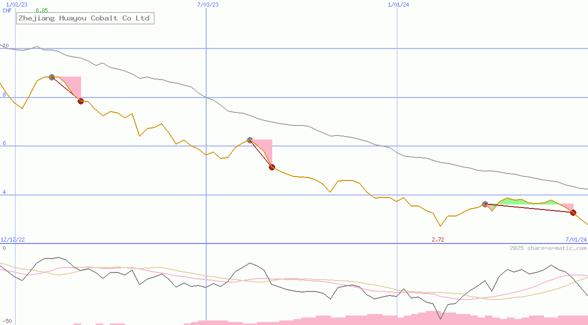 Zhejiang Huayou Cobalt Co Ltd