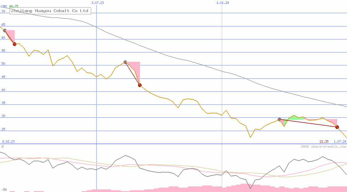 Zhejiang Huayou Cobalt Co Ltd