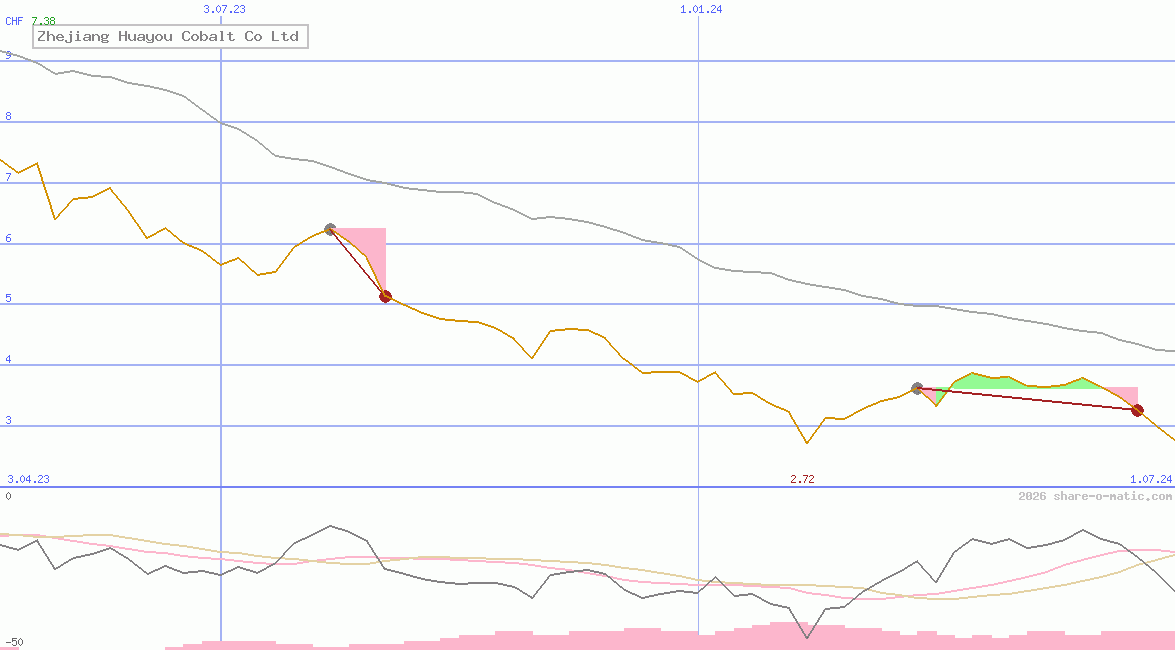 Zhejiang Huayou Cobalt Co Ltd