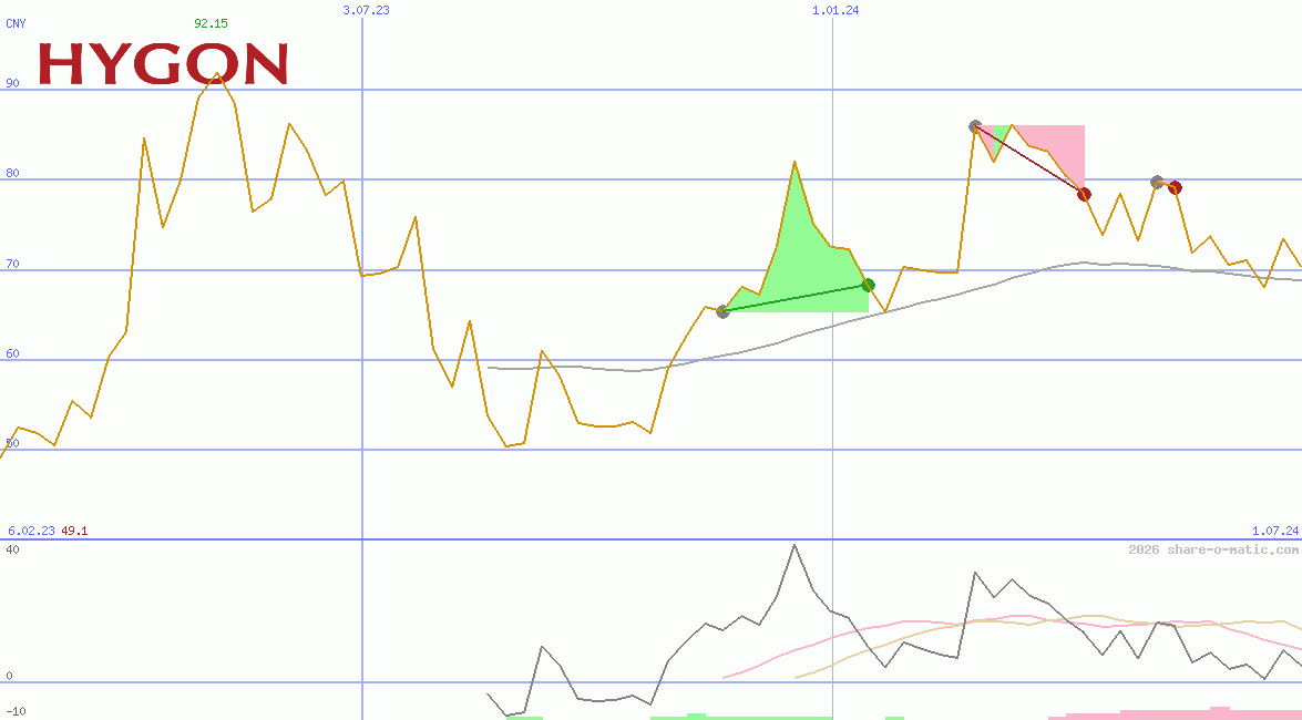 Hygon Information Technology Co Ltd