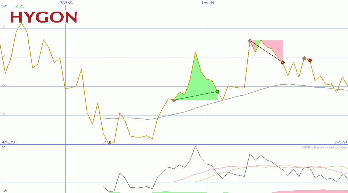 Hygon Information Technology Co Ltd