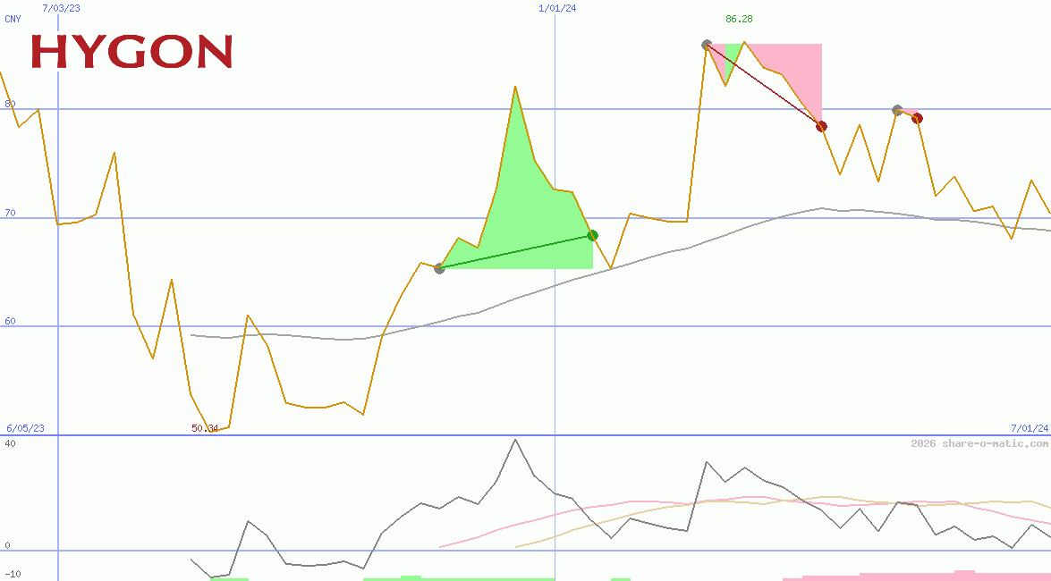 Hygon Information Technology Co Ltd