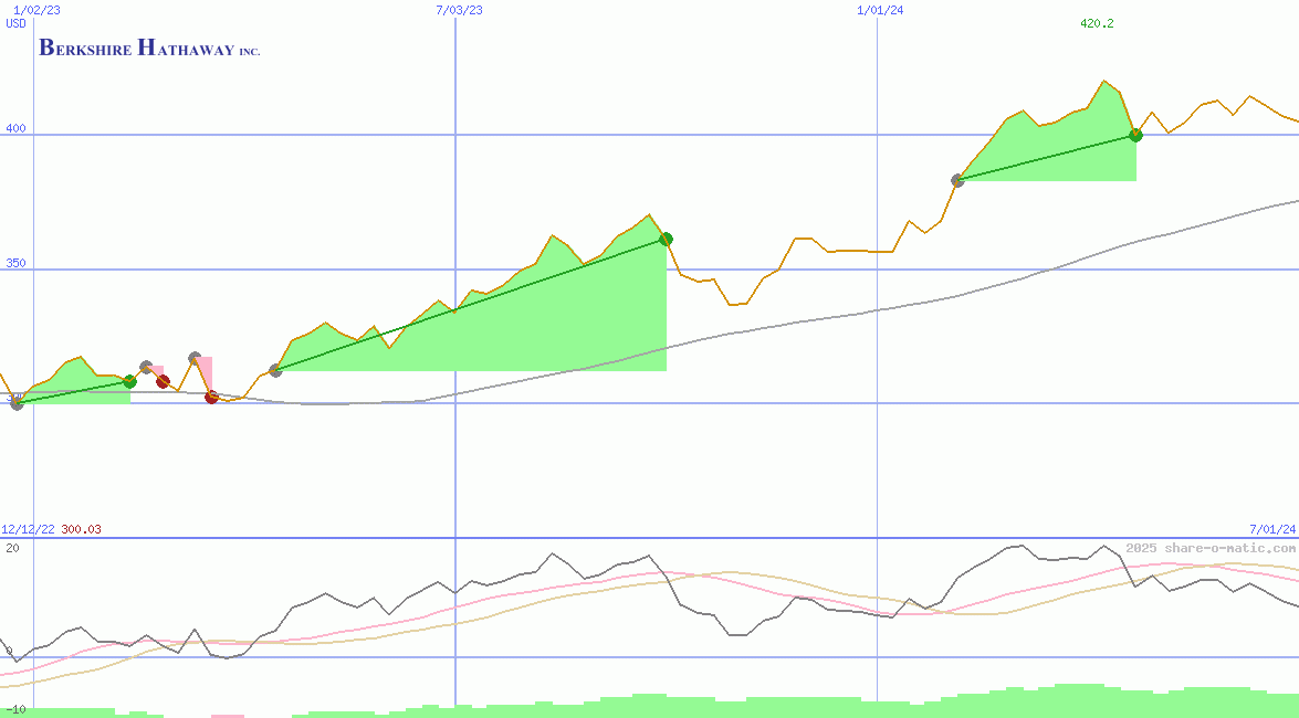 Berkshire Hathaway Inc