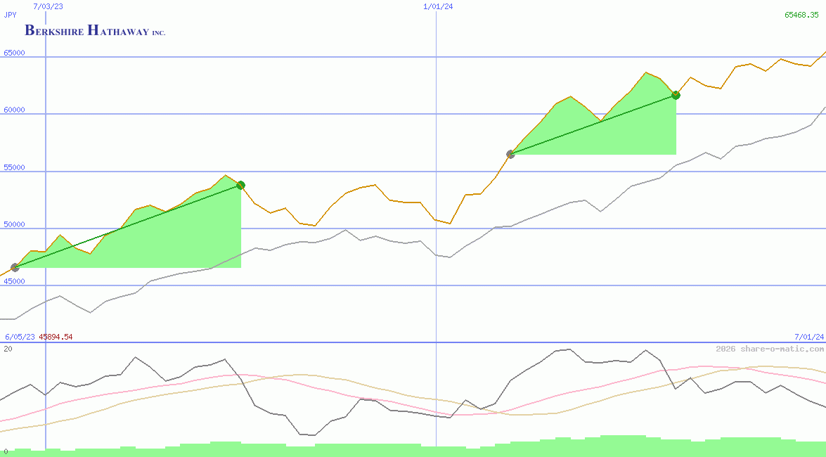 Berkshire Hathaway Inc